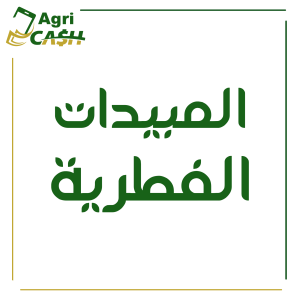 بيوارك 6 % ( محلى )