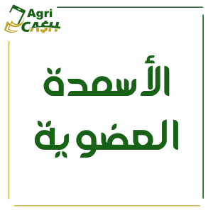 امبريلا 250 سم